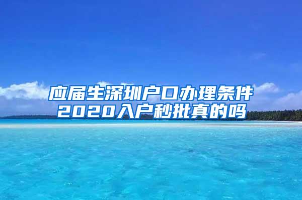 应届生深圳户口办理条件2020入户秒批真的吗