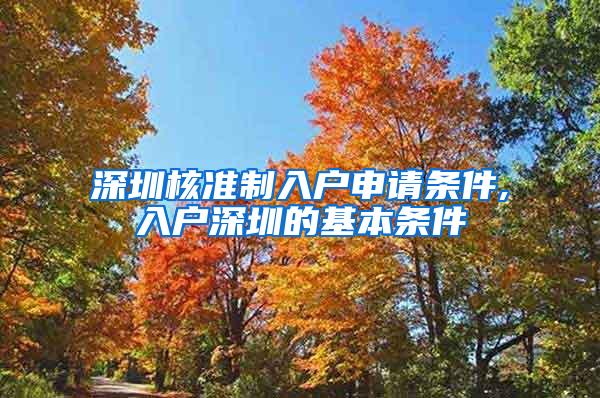 深圳核准制入户申请条件,入户深圳的基本条件