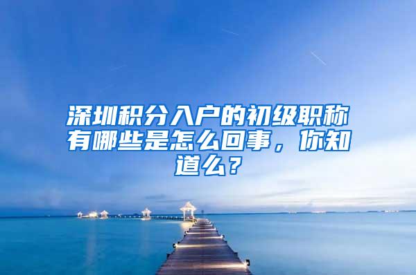 深圳积分入户的初级职称有哪些是怎么回事，你知道么？