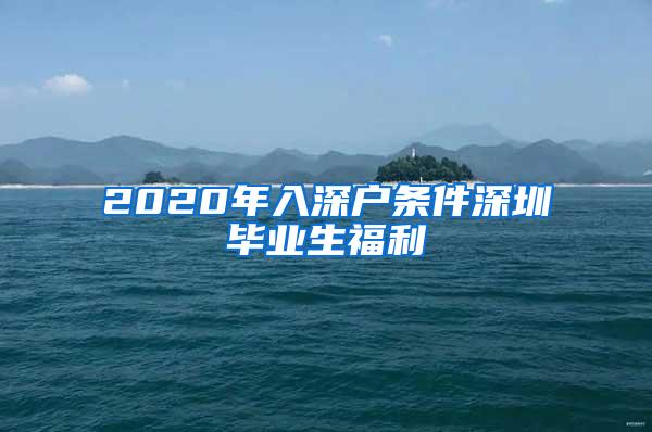 2020年入深户条件深圳毕业生福利