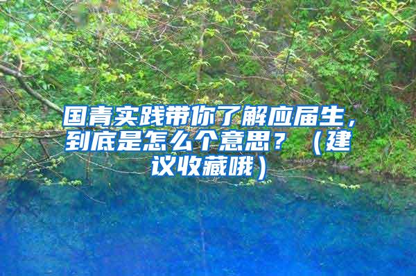 国青实践带你了解应届生，到底是怎么个意思？（建议收藏哦）