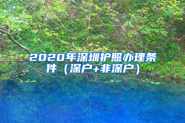 2020年深圳护照办理条件（深户+非深户）