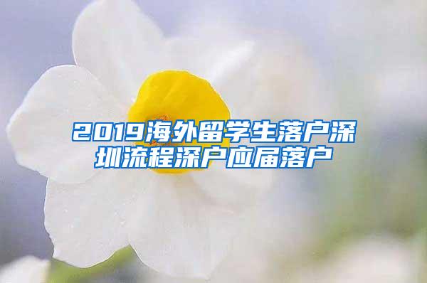 2019海外留学生落户深圳流程深户应届落户