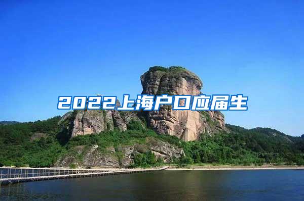 2022上海户口应届生