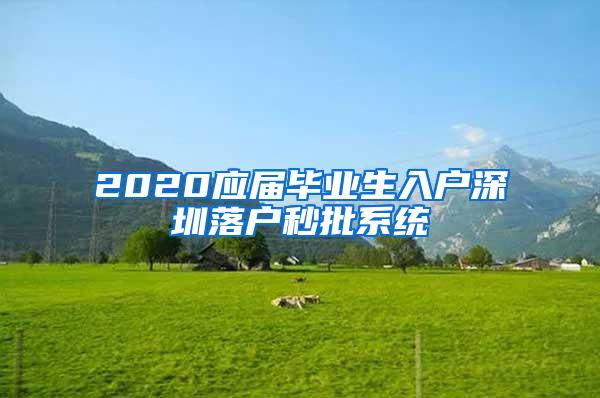 2020应届毕业生入户深圳落户秒批系统