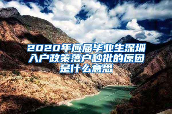 2020年应届毕业生深圳入户政策落户秒批的原因是什么意思