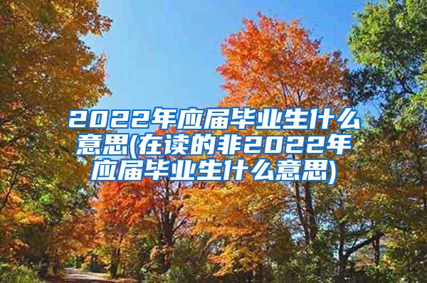 2022年应届毕业生什么意思(在读的非2022年应届毕业生什么意思)