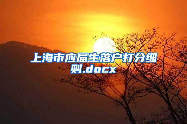 上海市应届生落户打分细则.docx