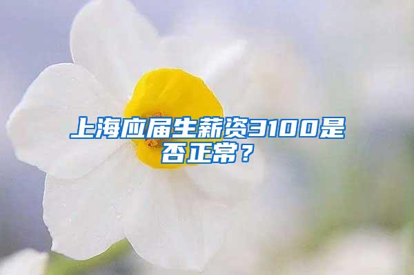 上海应届生薪资3100是否正常？