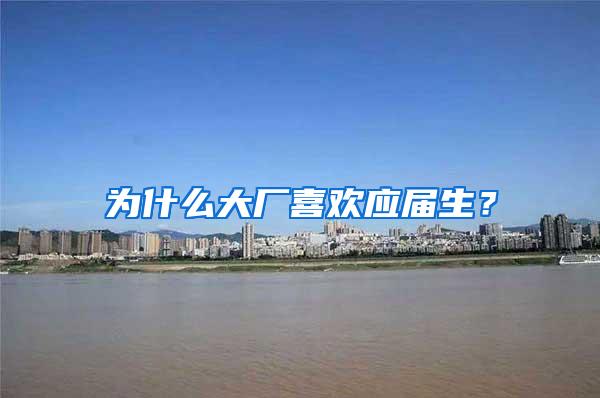 为什么大厂喜欢应届生？