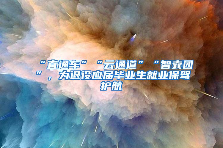 “直通车”“云通道”“智囊团”，为退役应届毕业生就业保驾护航