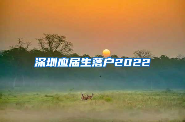 深圳应届生落户2022