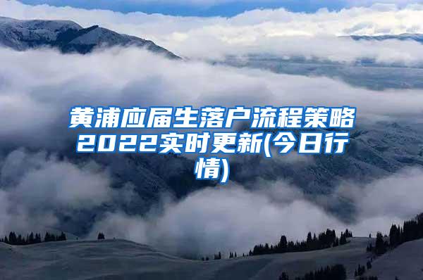 黄浦应届生落户流程策略2022实时更新(今日行情)