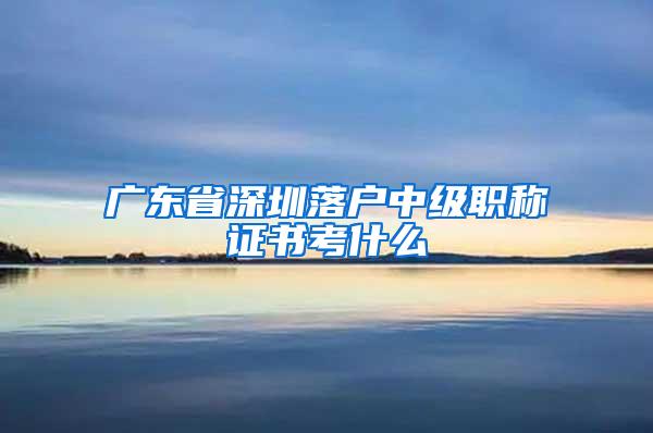 广东省深圳落户中级职称证书考什么