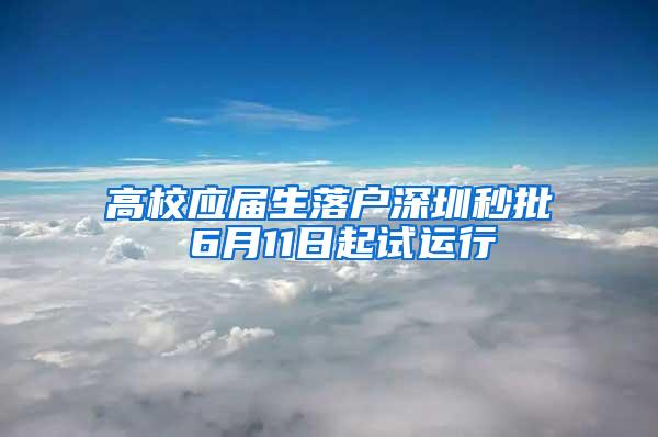 高校应届生落户深圳秒批 6月11日起试运行