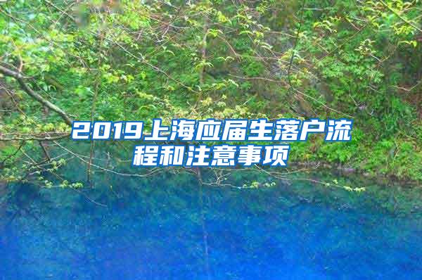 2019上海应届生落户流程和注意事项