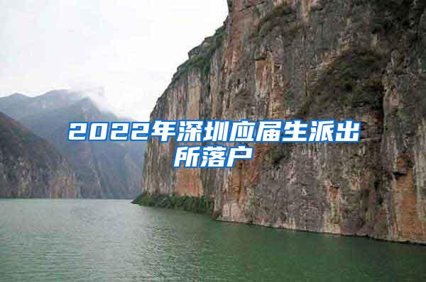 2022年深圳应届生派出所落户