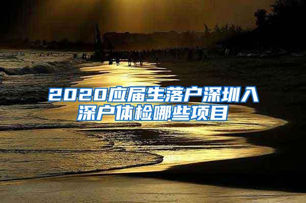 2020应届生落户深圳入深户体检哪些项目