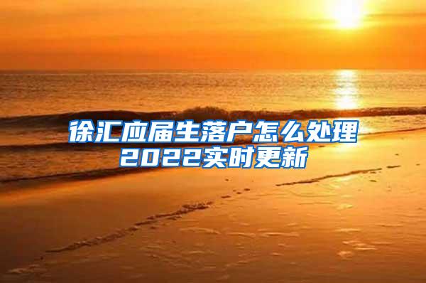 徐汇应届生落户怎么处理2022实时更新