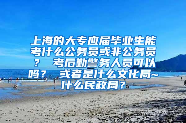 上海的大专应届毕业生能考什么公务员或非公务员？ 考后勤警务人员可以吗？ 或者是什么文化局~什么民政局？