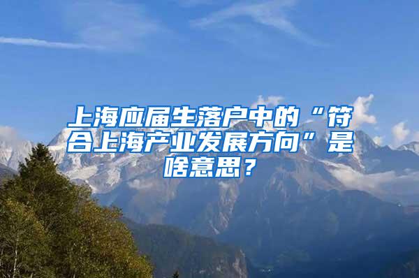 上海应届生落户中的“符合上海产业发展方向”是啥意思？