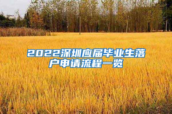 2022深圳应届毕业生落户申请流程一览