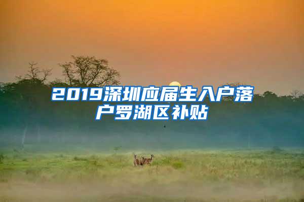 2019深圳应届生入户落户罗湖区补贴