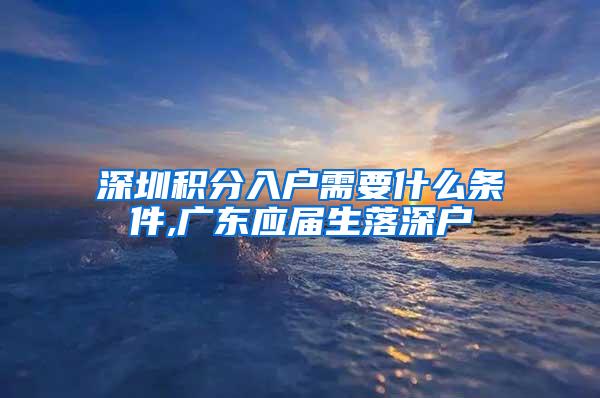 深圳积分入户需要什么条件,广东应届生落深户