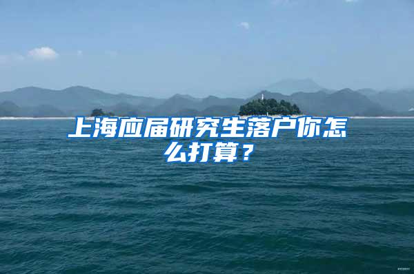 上海应届研究生落户你怎么打算？