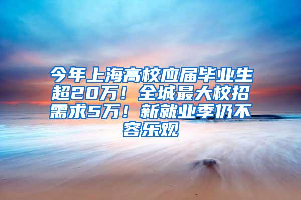 今年上海高校应届毕业生超20万！全城最大校招需求5万！新就业季仍不容乐观