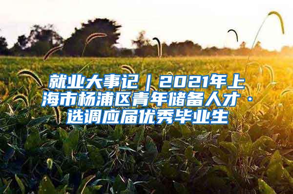 就业大事记｜2021年上海市杨浦区青年储备人才·选调应届优秀毕业生