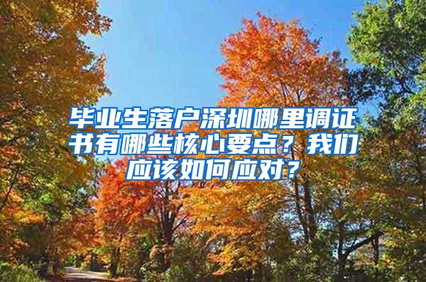 毕业生落户深圳哪里调证书有哪些核心要点？我们应该如何应对？