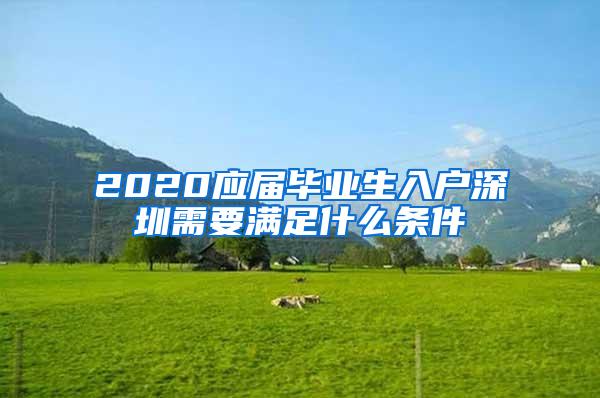 2020应届毕业生入户深圳需要满足什么条件