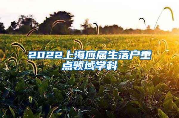 2022上海应届生落户重点领域学科