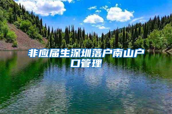 非应届生深圳落户南山户口管理