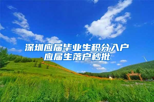 深圳应届毕业生积分入户应届生落户秒批