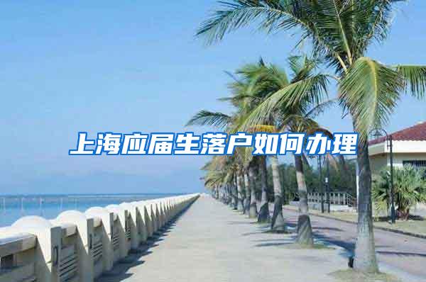 上海应届生落户如何办理