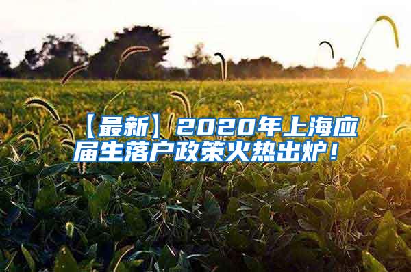 【最新】2020年上海应届生落户政策火热出炉！