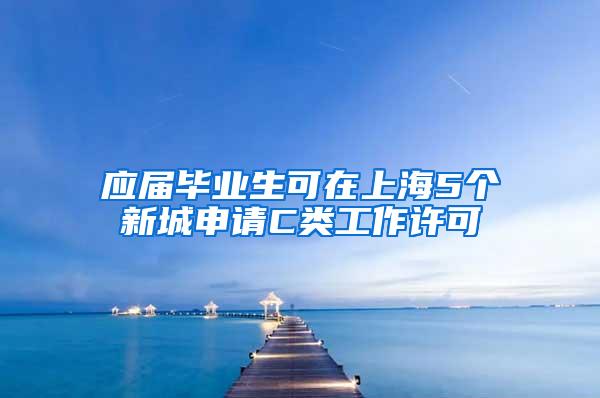 应届毕业生可在上海5个新城申请C类工作许可