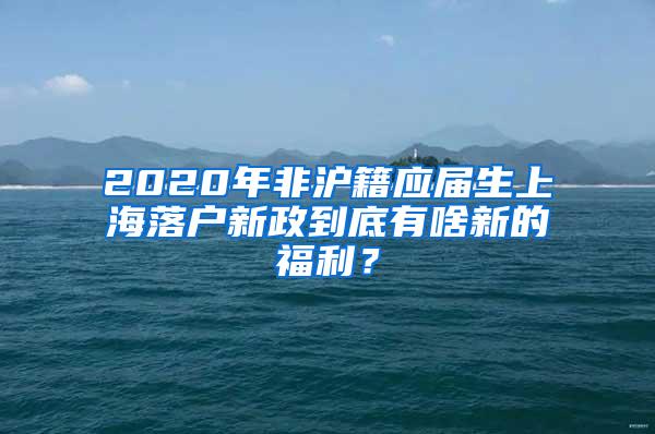 2020年非沪籍应届生上海落户新政到底有啥新的福利？