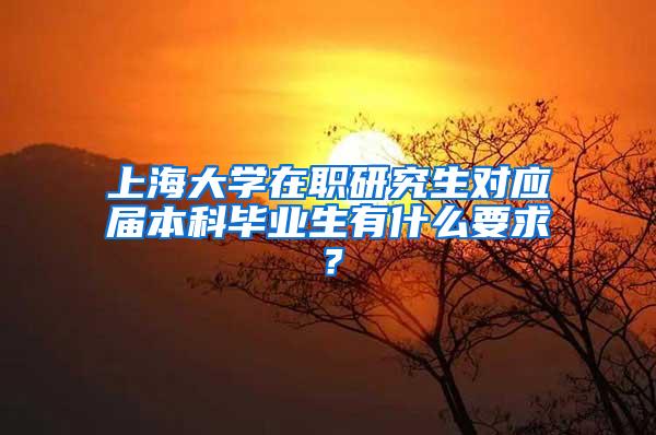 上海大学在职研究生对应届本科毕业生有什么要求？