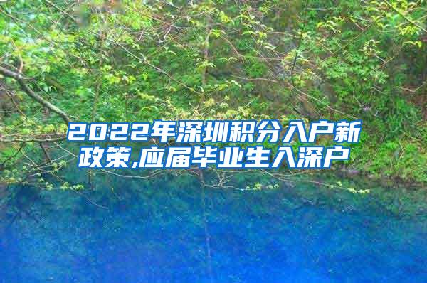 2022年深圳积分入户新政策,应届毕业生入深户