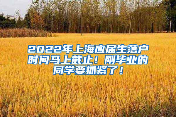 2022年上海应届生落户时间马上截止！刚毕业的同学要抓紧了！