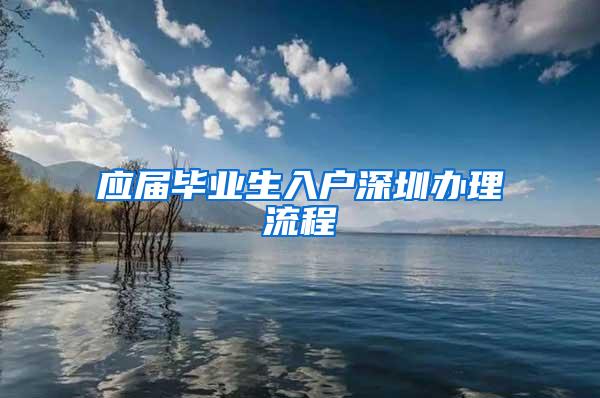 应届毕业生入户深圳办理流程