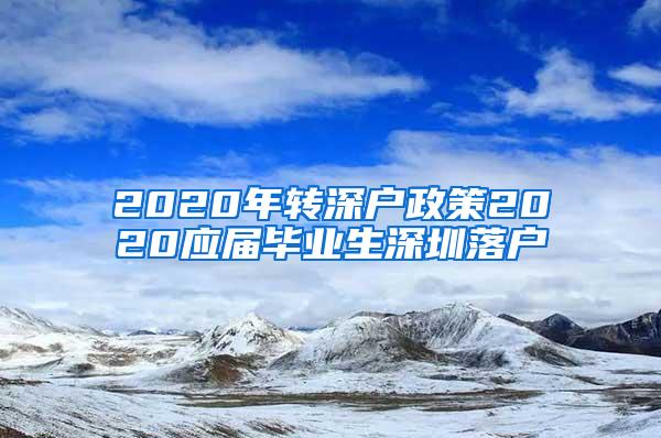 2020年转深户政策2020应届毕业生深圳落户