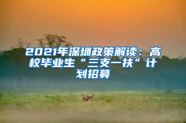 2021年深圳政策解读：高校毕业生“三支一扶”计划招募