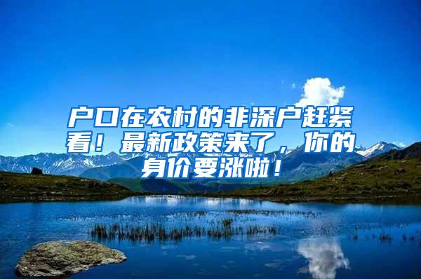 户口在农村的非深户赶紧看！最新政策来了，你的身价要涨啦！