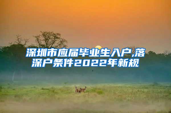 深圳市应届毕业生入户,落深户条件2022年新规