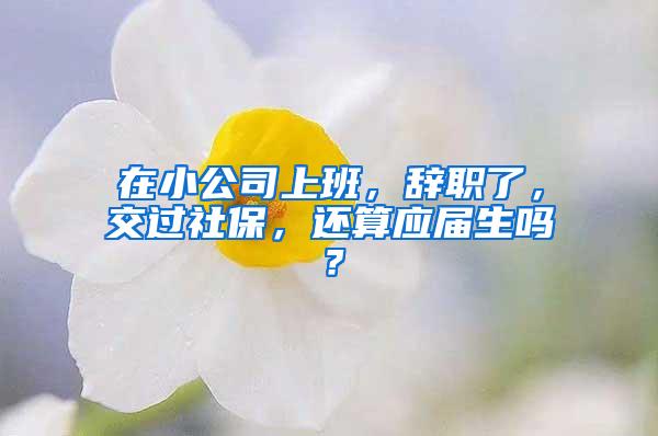 在小公司上班，辞职了，交过社保，还算应届生吗？