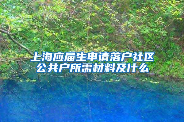 上海应届生申请落户社区公共户所需材料及什么